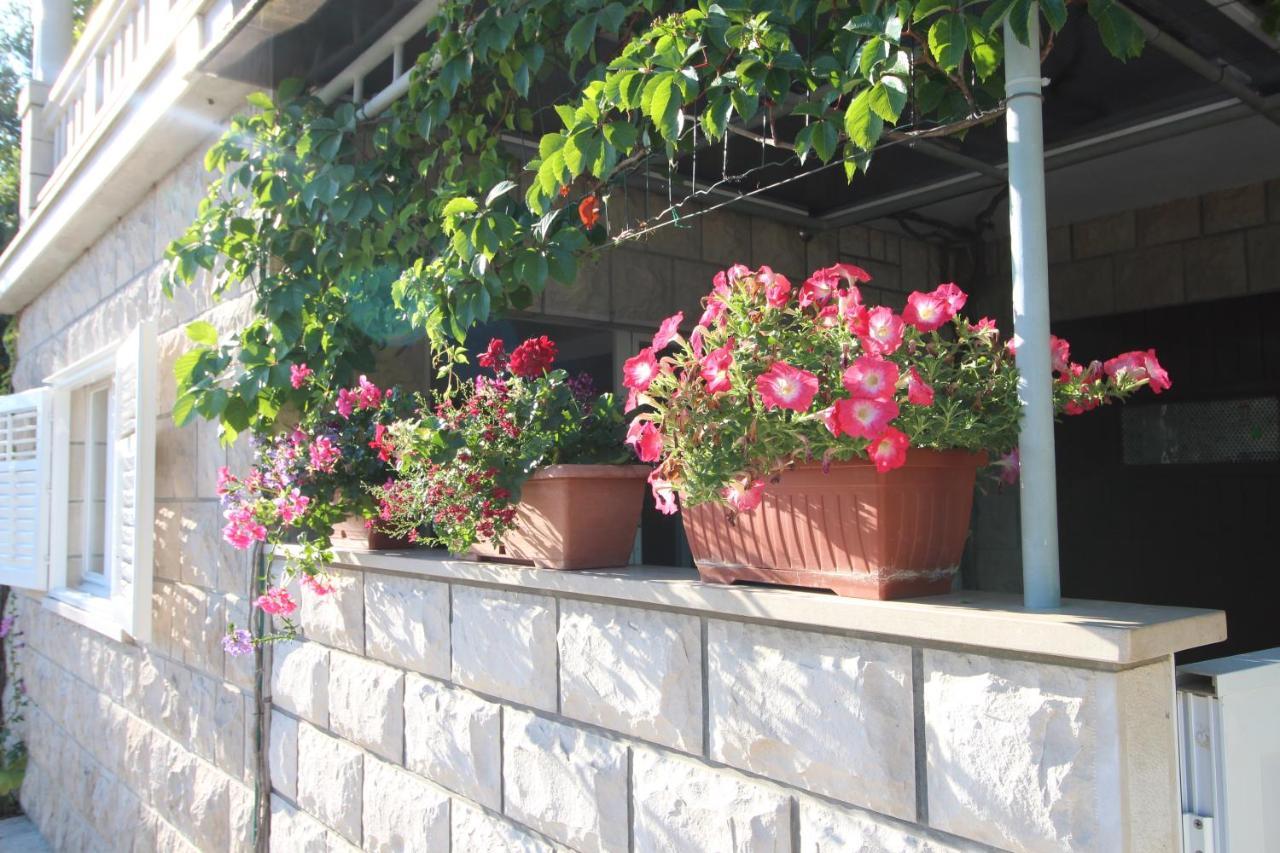 Apartment Ruzica Zrnovo Eksteriør billede
